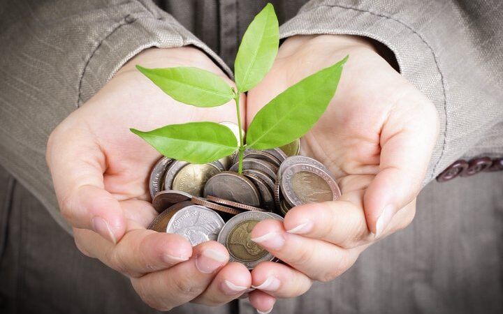 Green and Sustainable Investments: Romantic Philanthropy or the Century’s Greatest Profit Machine?